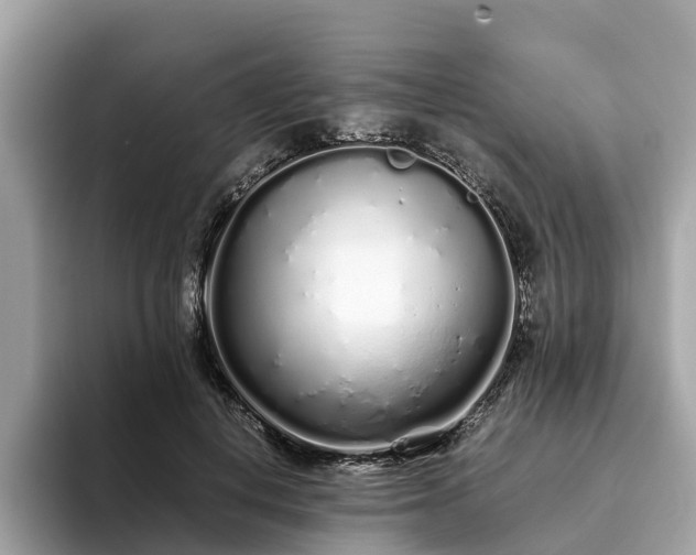 X0000094080648200710261308