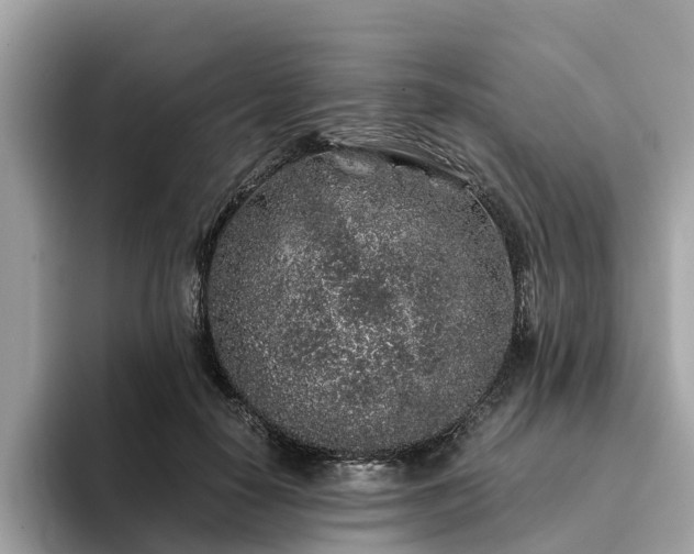 X0000094080650200710261308