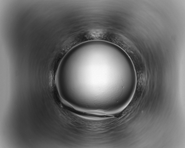 X0000094080651200710261308