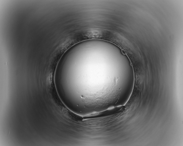 X0000094080652200710261308