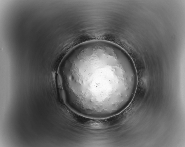 X0000094080658200710261308