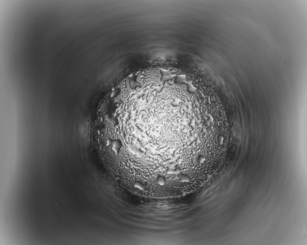 X0000094080659200710261308