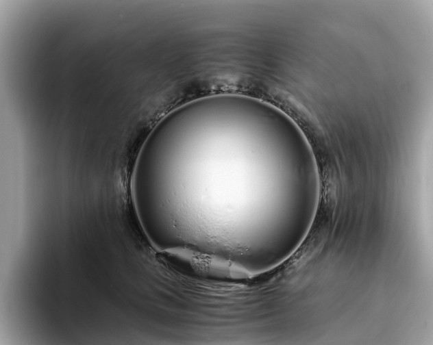 X0000094080661200710261308