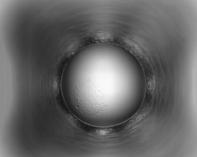 X0000094080662200710261308