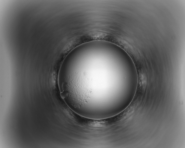 X0000094080664200710261308