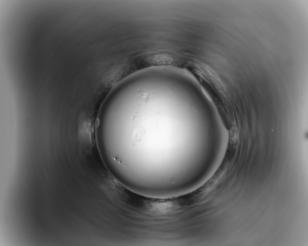 X0000094080669200710261308