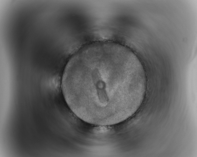 X0000094080672200710261308