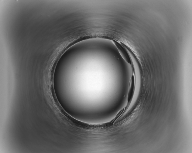 X0000094080673200710261308