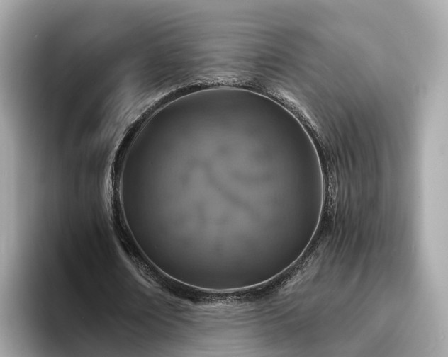 X0000094080674200710261308