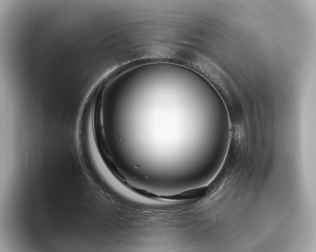 X0000094080676200710261308