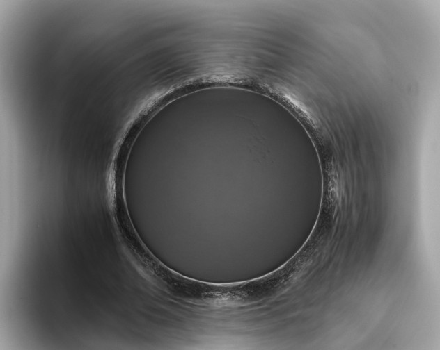 X0000094080678200710261308