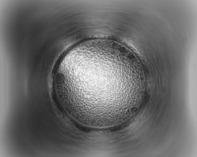 X0000094080679200710261308