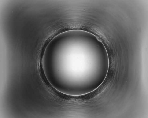 X0000094080681200710261307