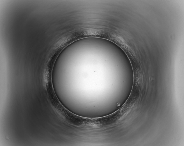 X0000094080683200710261307