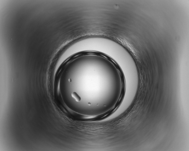 X0000094080684200710261307