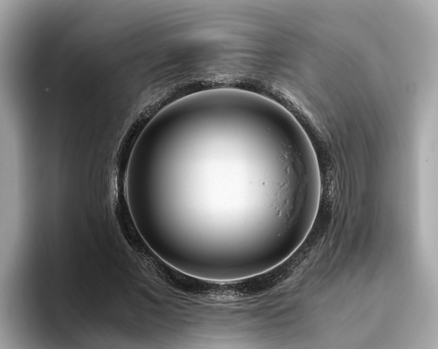 X0000094080685200710261307