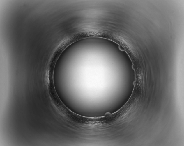 X0000094080686200710261307