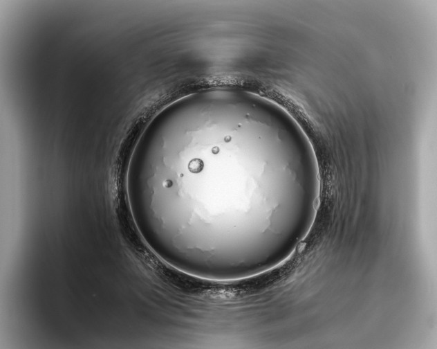 X0000094080687200710261307