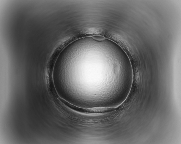 X0000094080688200710261307