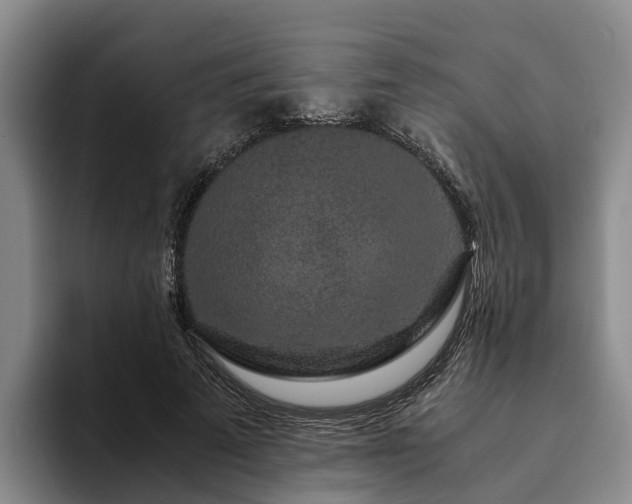 X0000094080689200710261307