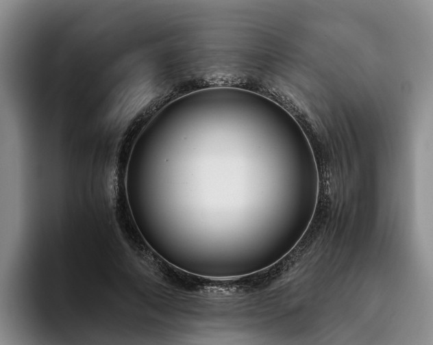 X0000094080690200710261307