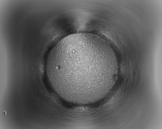 X0000094080691200710261307