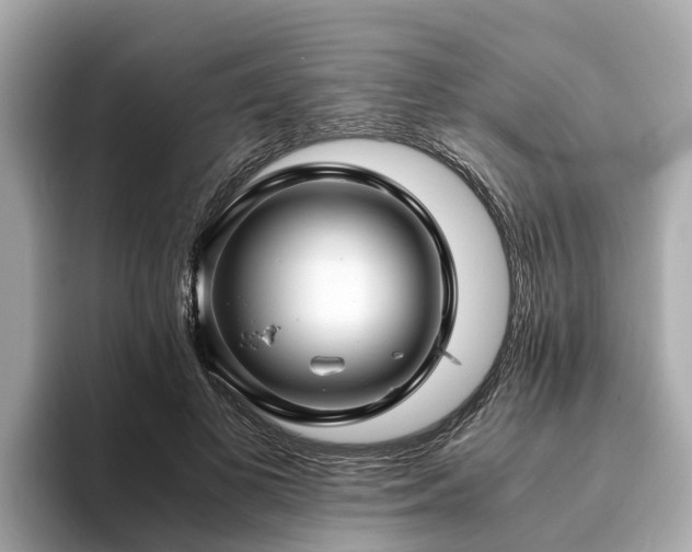 X0000094080693200710261307