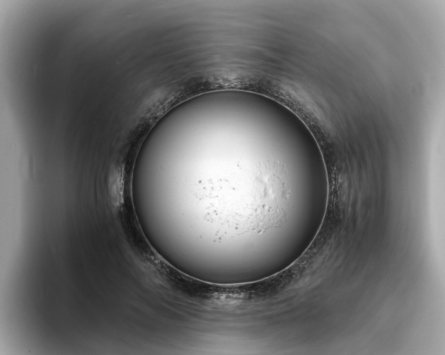 X0000094080694200710261307