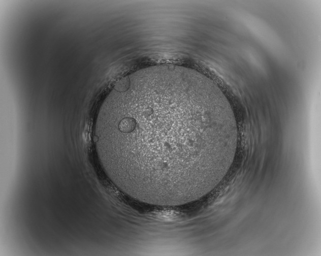 X0000094080695200710261307