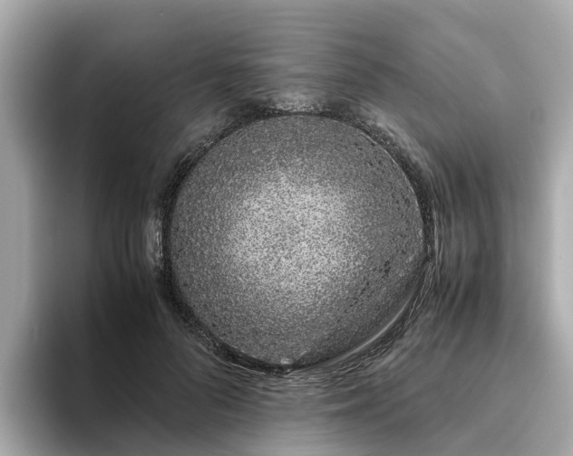 X0000094080696200710261307