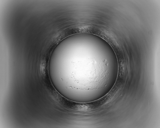 X0000094080698200710261307