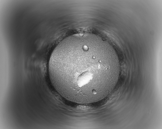 X0000094080699200710261307