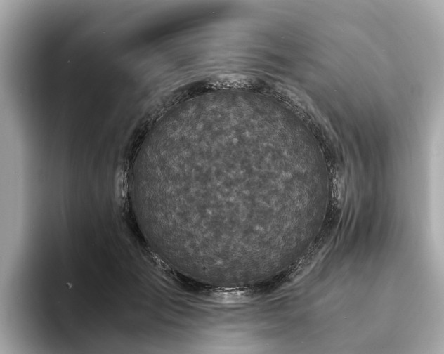 X0000094080701200710261307