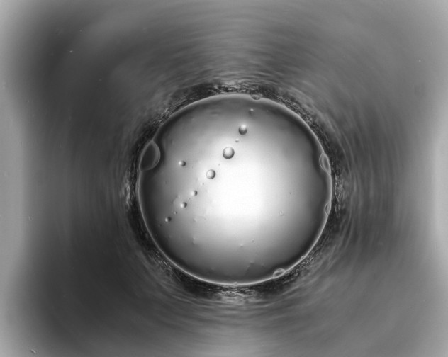 X0000094080703200710261307