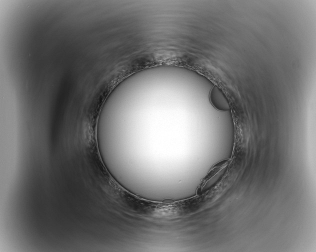 X0000094080705200710261307