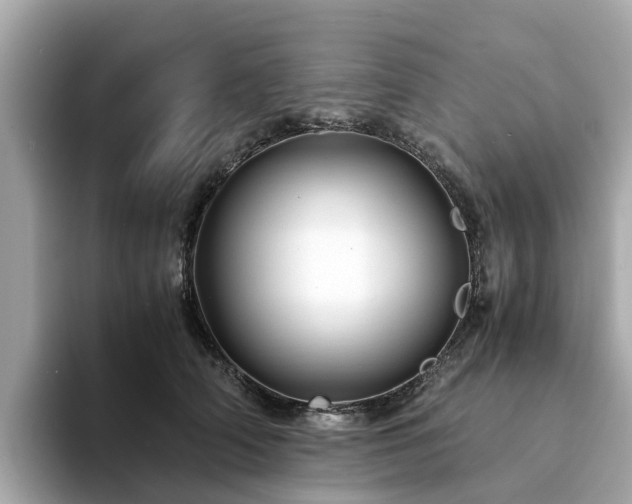 X0000094080706200710261307