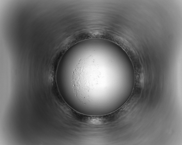 X0000094080710200710261307