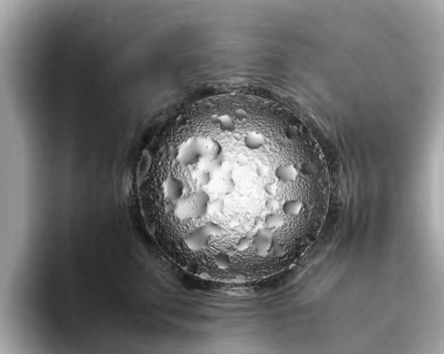 X0000094080711200710261307