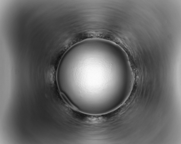 X0000094080712200710261307