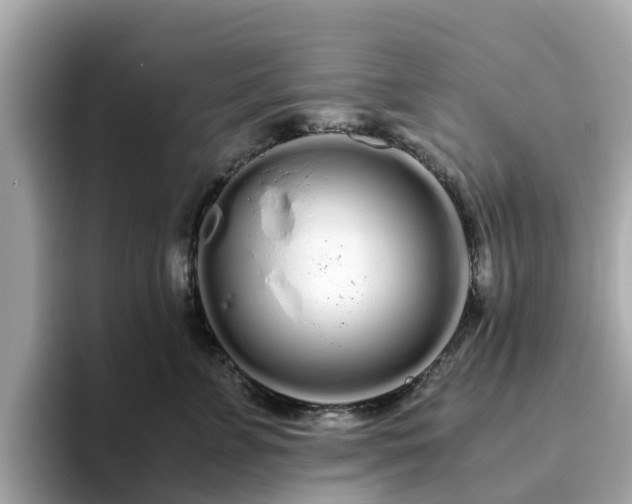 X0000094080715200710261307