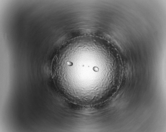 X0000094080716200710261307