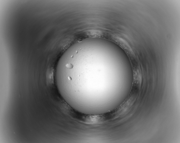 X0000094080717200710261307