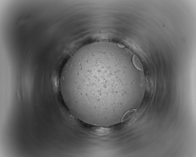 X0000094080718200710261307