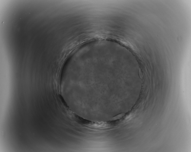 X0000094080720200710261307