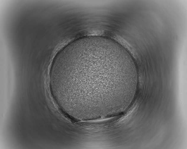 X0000094080721200710261306