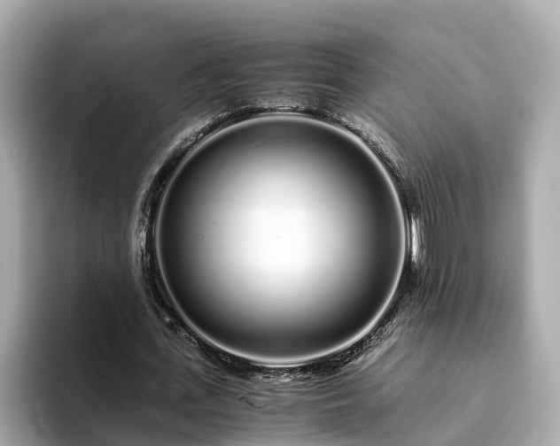 X0000094080723200710261306