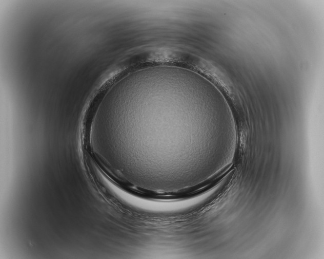 X0000094080724200710261306