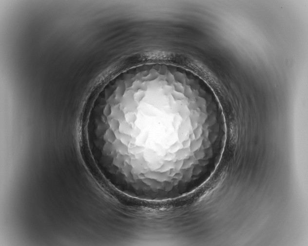 X0000094080725200710261306