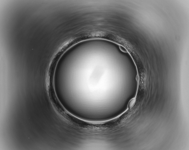 X0000094080726200710261306