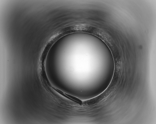 X0000094080727200710261306